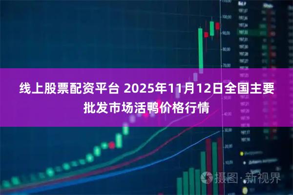线上股票配资平台 2025年11月12日全国主要批发市场活鸭价格行情