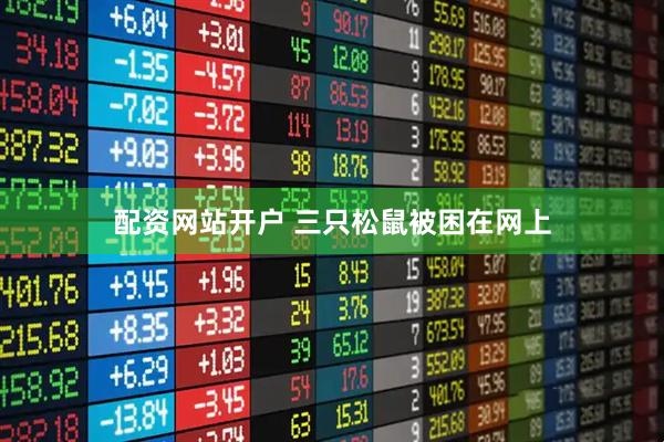 配资网站开户 三只松鼠被困在网上